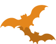 bats
